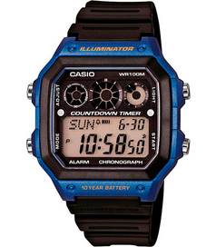 AE-1300WH-2A Casio