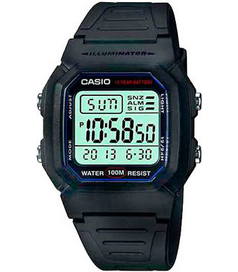 W-800H-1A Casio