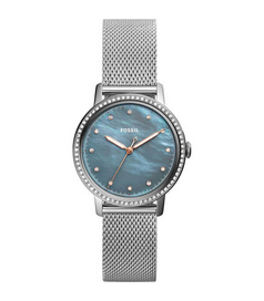 ES4313 Fossil