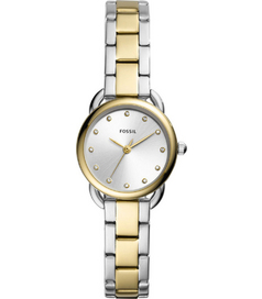 ES4498 Fossil