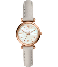 ES4529 Fossil
