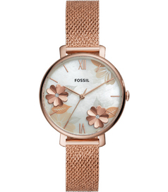 ES4534 Fossil