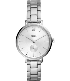 ES4666 Fossil