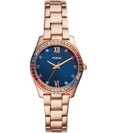 LE1057 Fossil