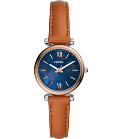 ES4701 Fossil