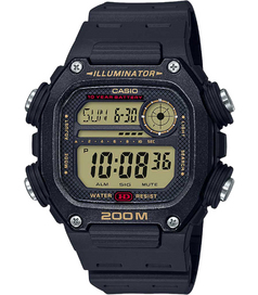 DW-291H-9A Casio