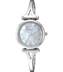 ES4501 Fossil