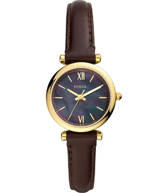 ES4968 Fossil
