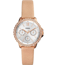 ES4888 Fossil