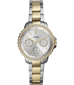 ES4784 Fossil