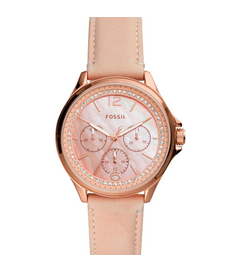 ES4785 Fossil