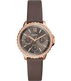 ES4889 Fossil