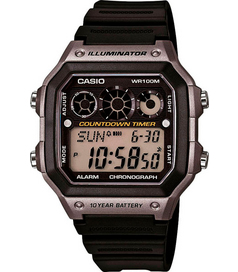 AE-1300WH-8A Casio