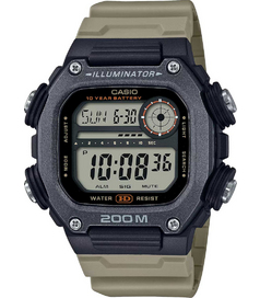 DW-291HX-5A Casio